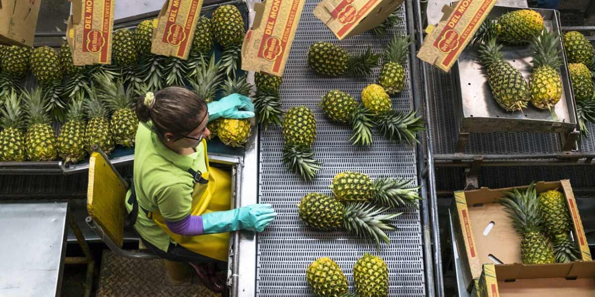 Del Monte a Cibus con il carpaccio di ananas